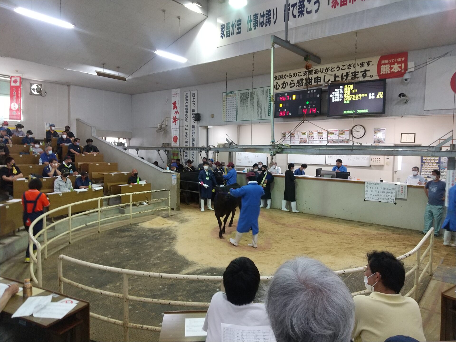 熊本県家畜市場 子牛セリ（7月）速報！！