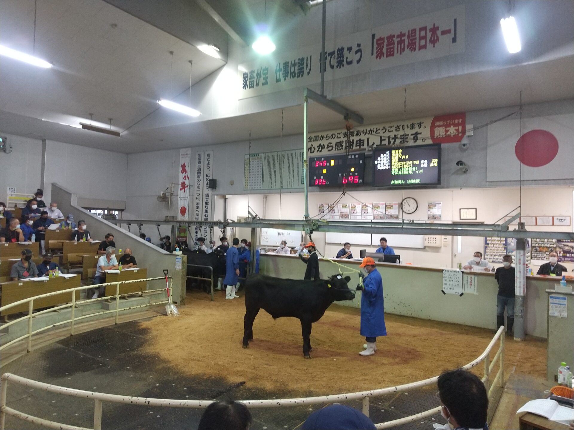 熊本県家畜市場 子牛セリ（8月）速報！！