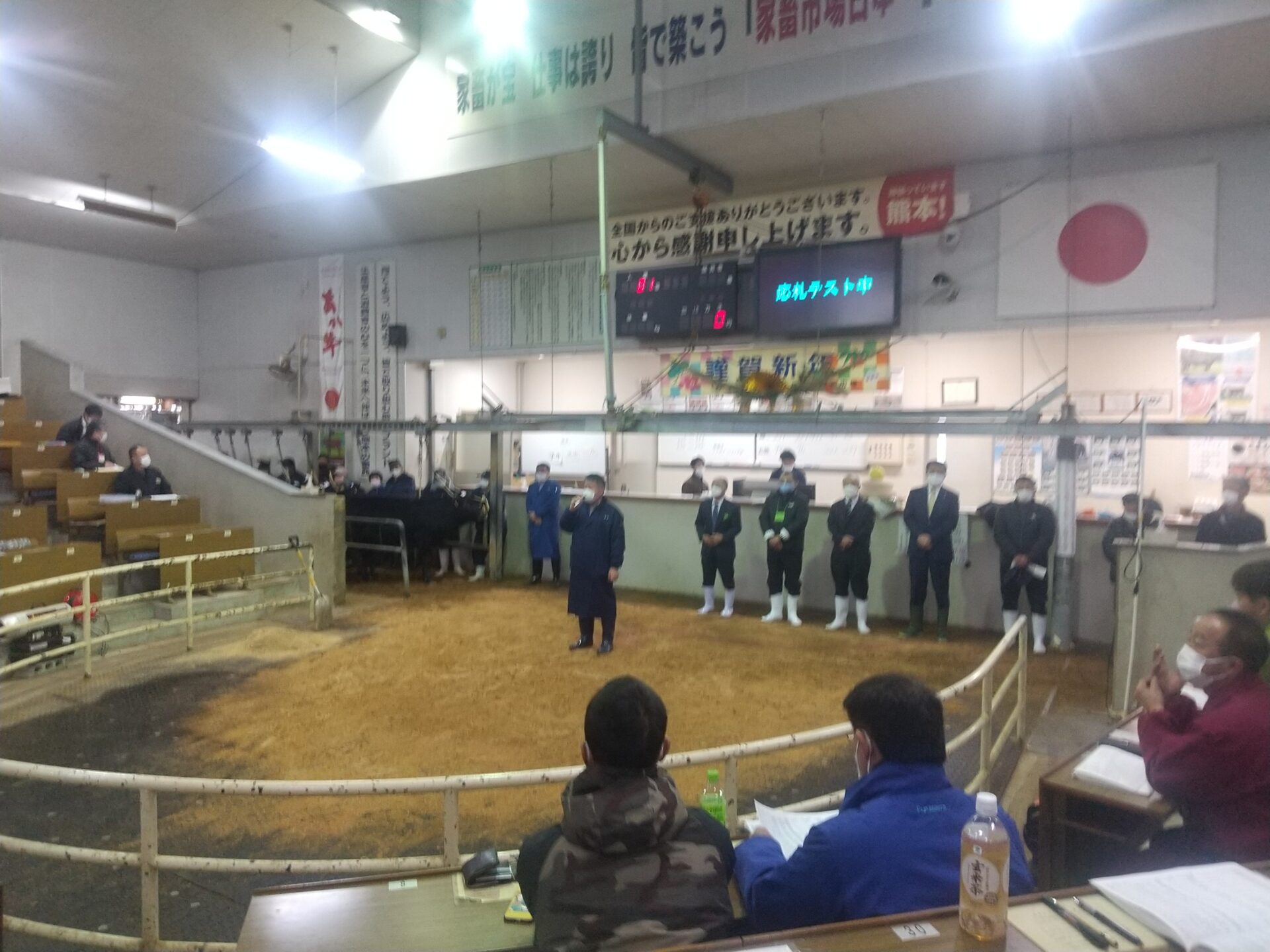 熊本県家畜市場 黒毛子牛セリ 結果速報！〈令和５年１月〉