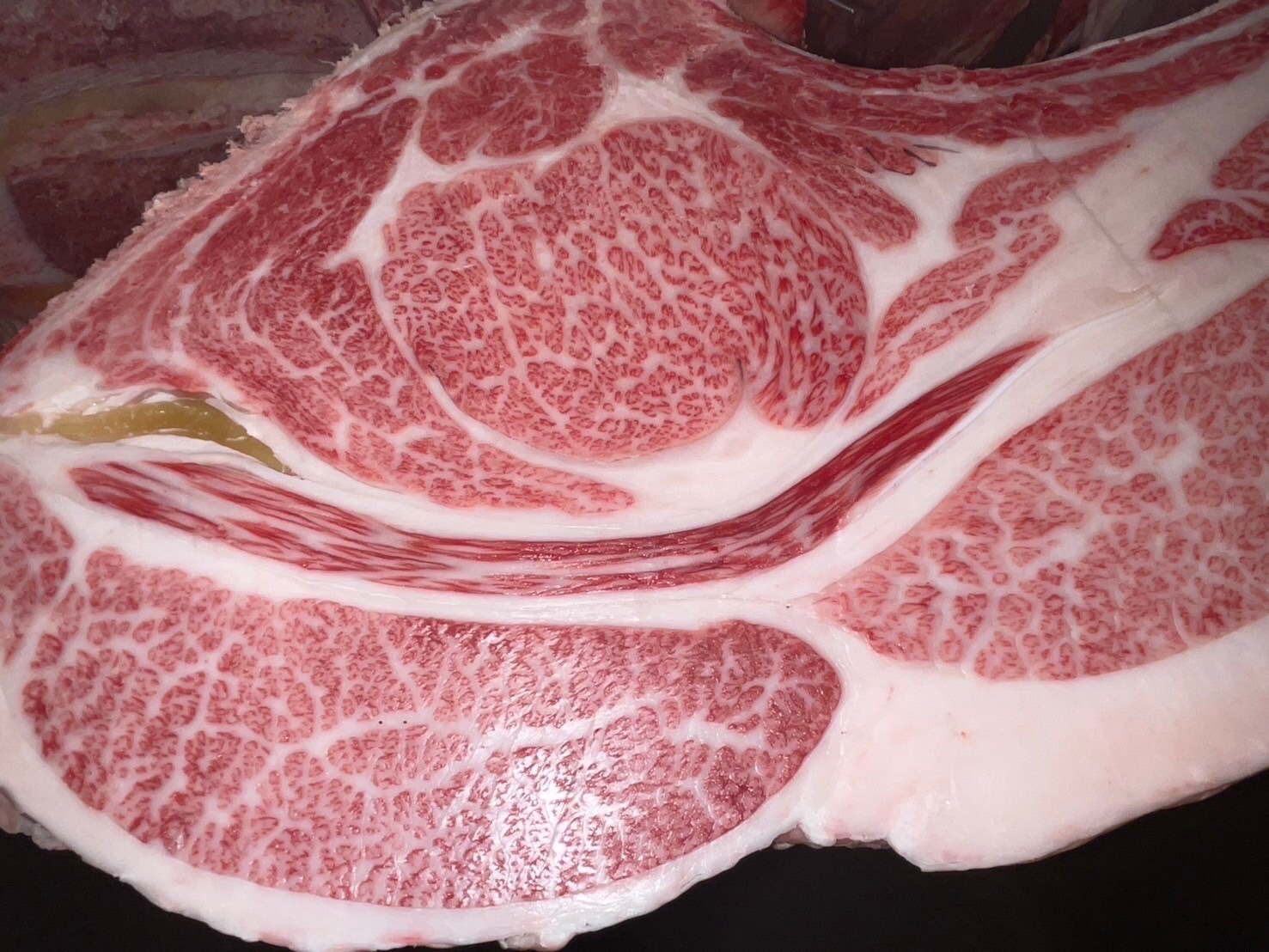 本日の枝肉（2025.2.12）