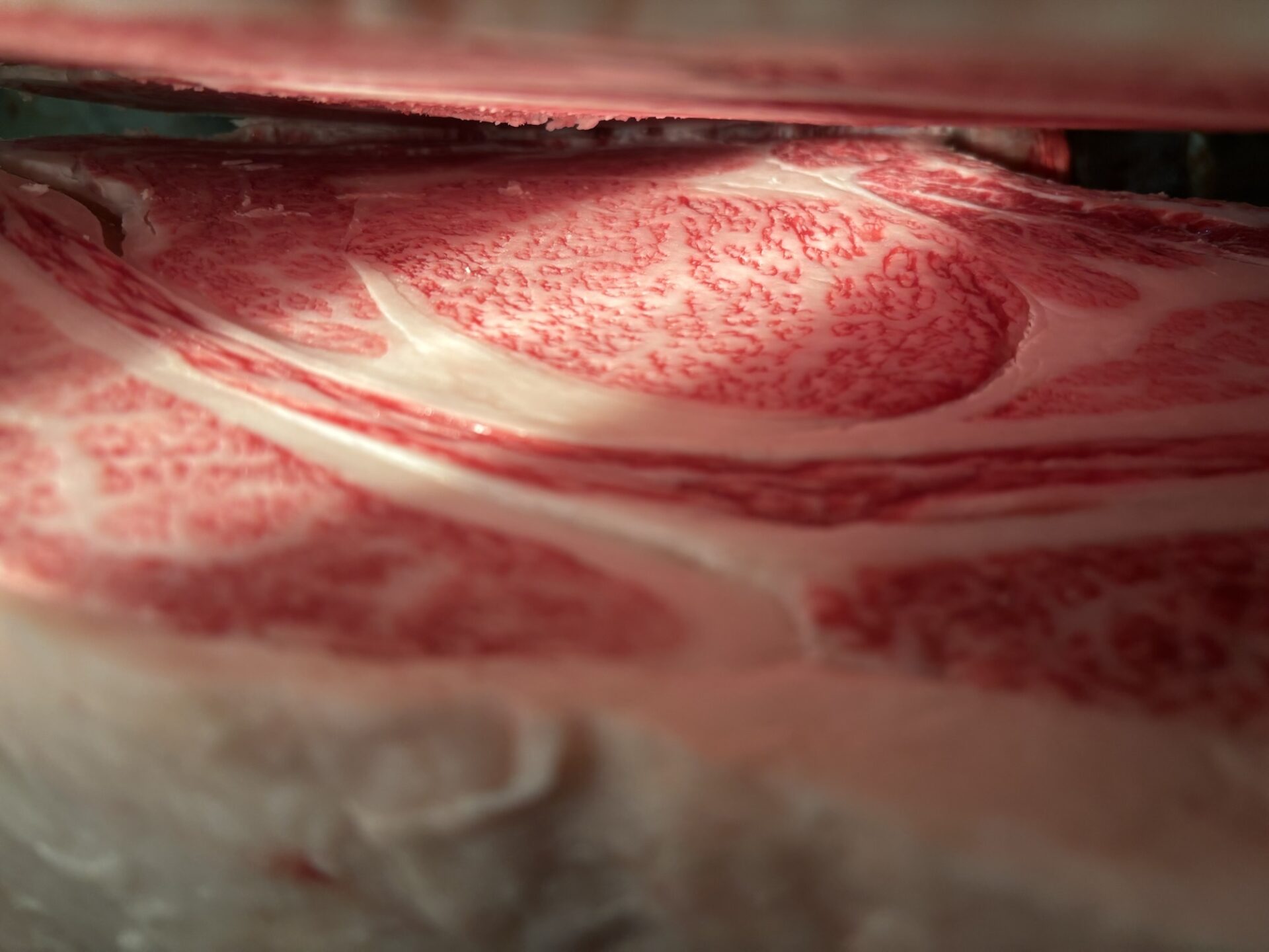本日の枝肉（2025.5.23）