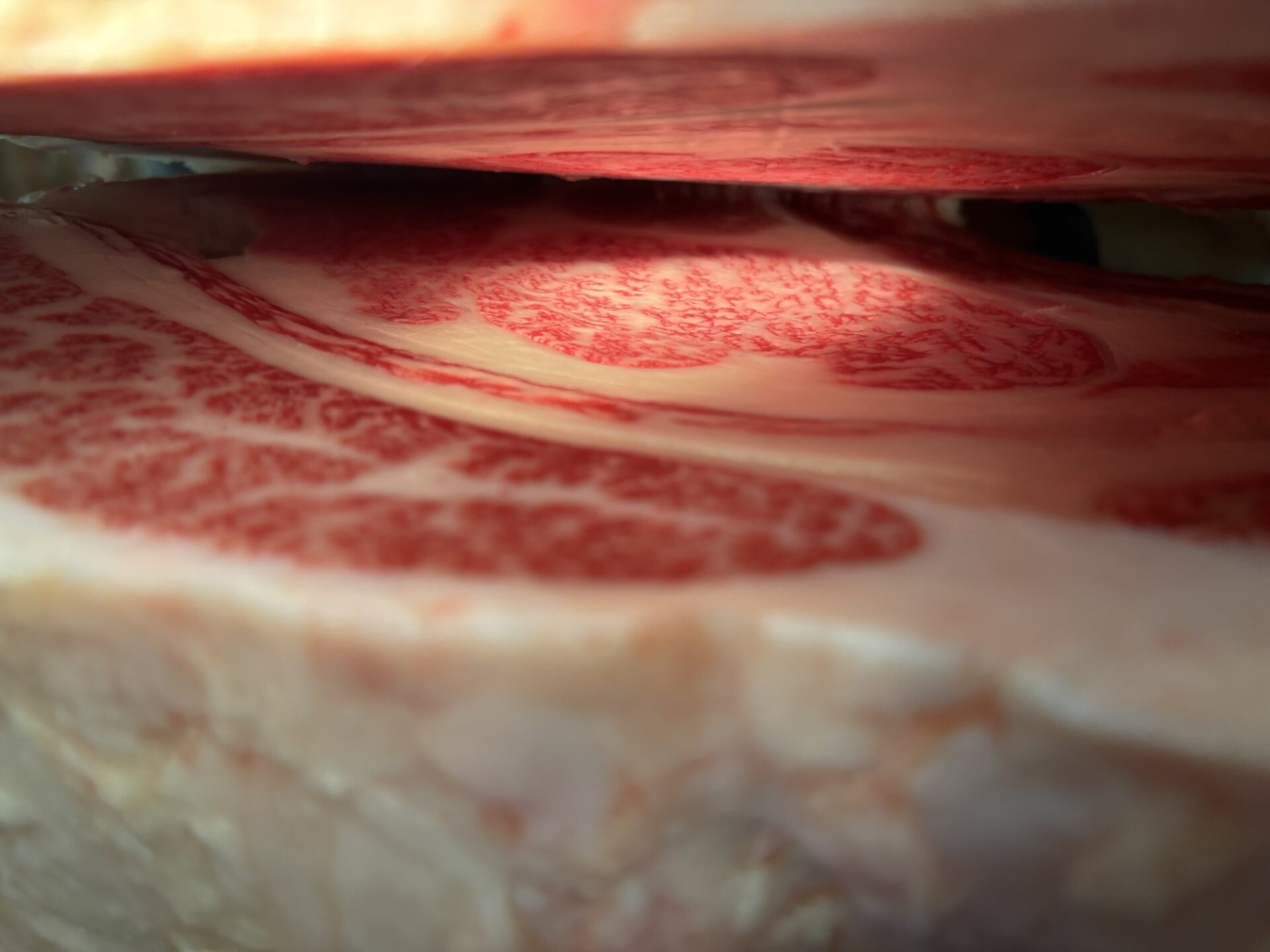 本日の枝肉（2025.6.13）