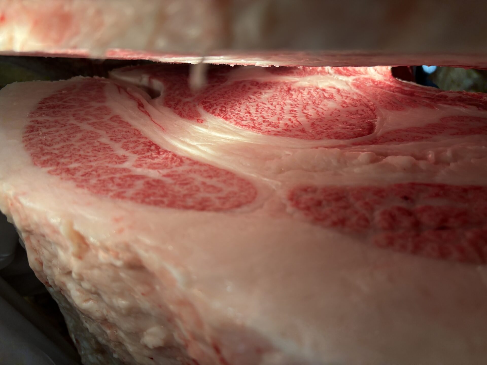 本日の枝肉（2025.7.18）
