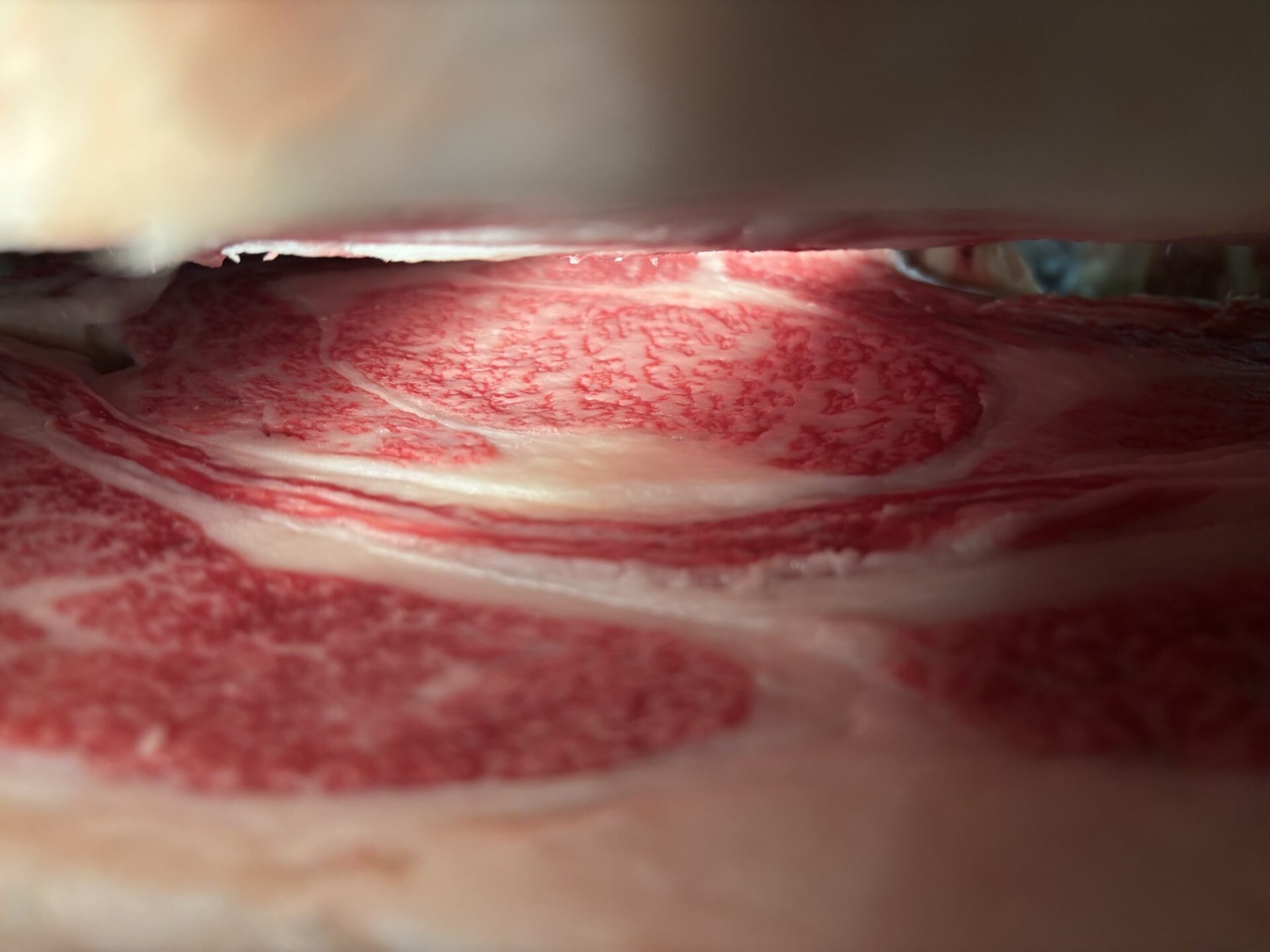 本日の枝肉（2025.7.25）