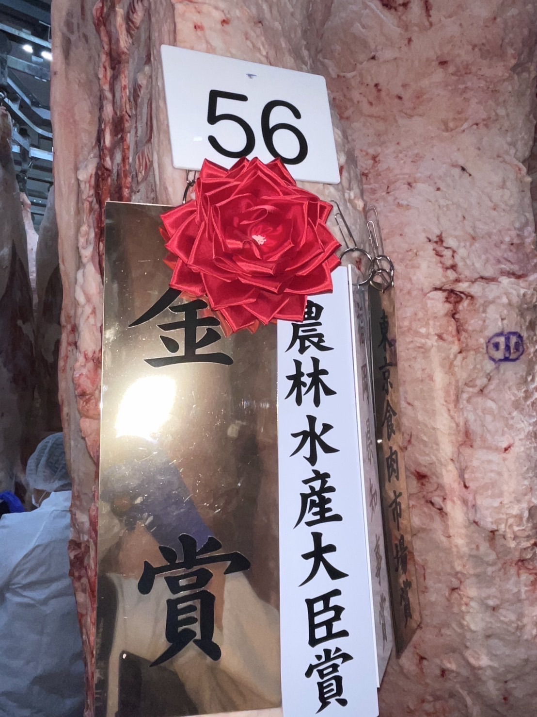 今年の九管結果は！！