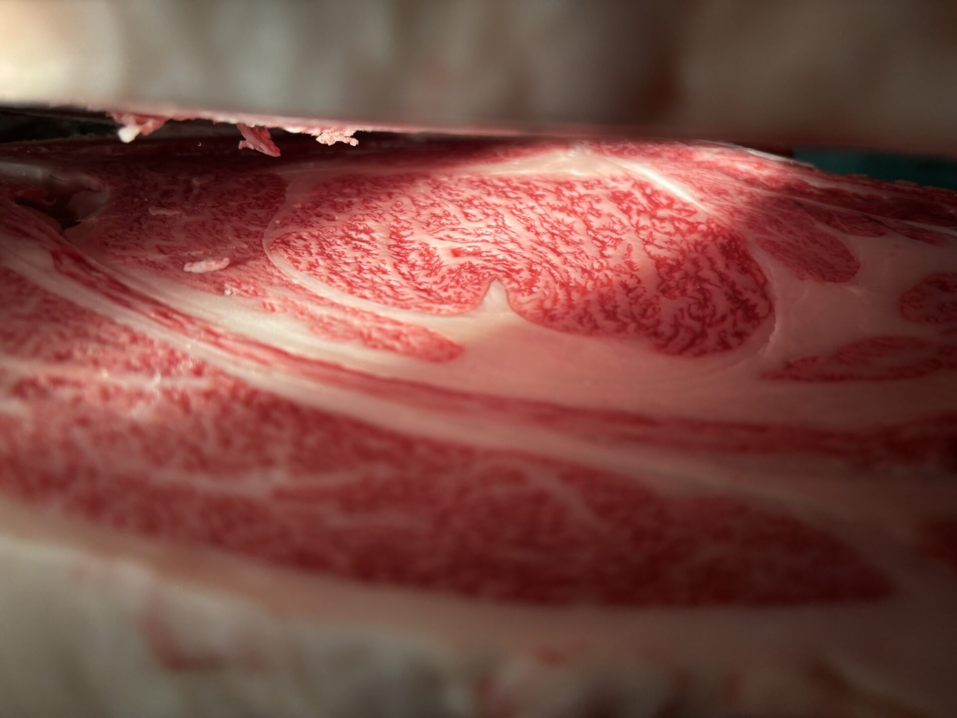 本日の枝肉(2025.10.17)