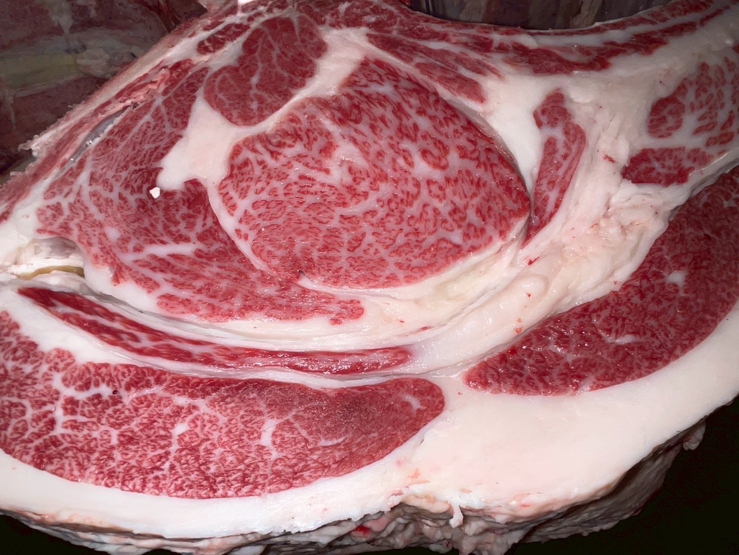 本日の枝肉（2025.10.15）南港
