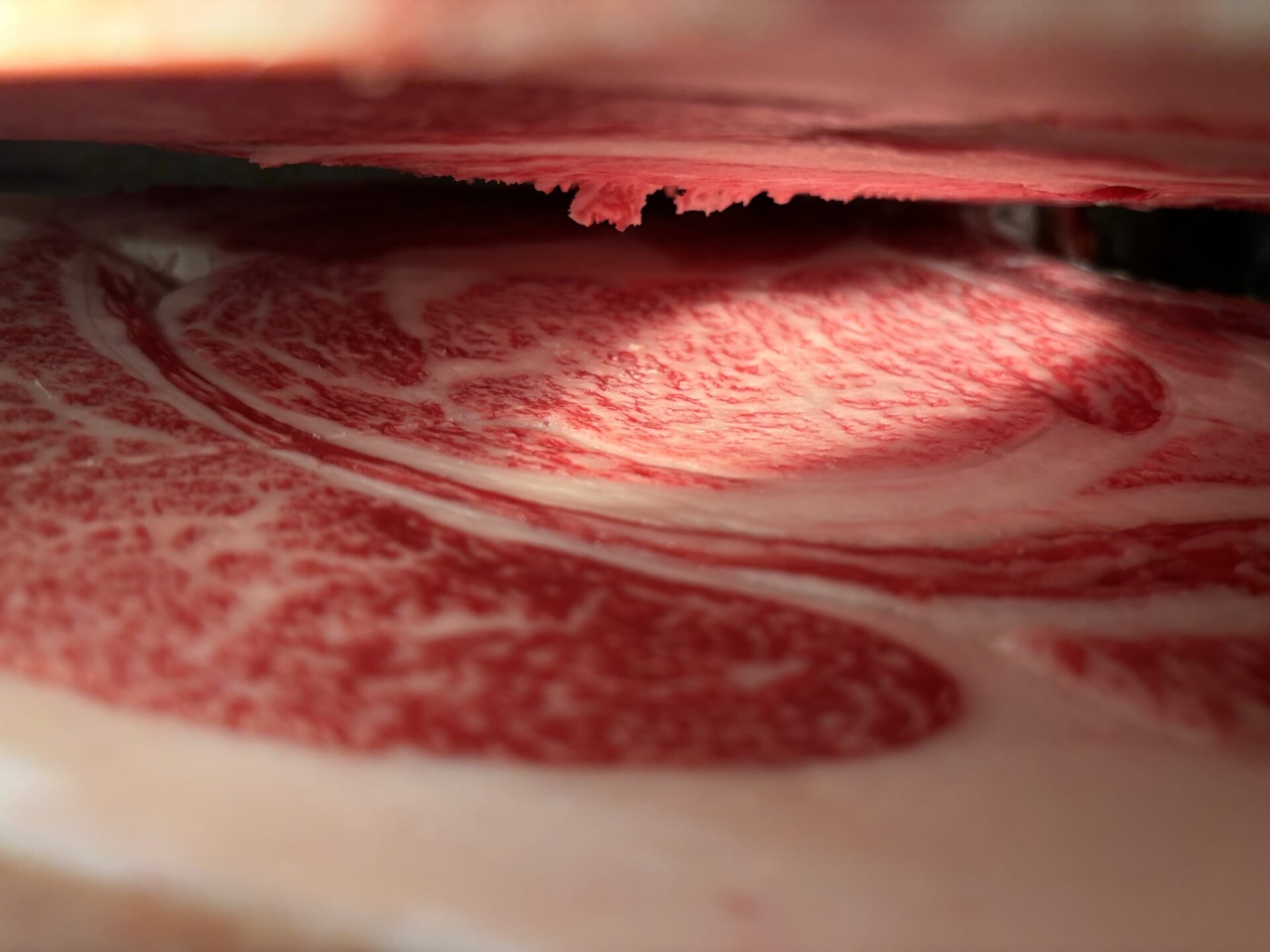 本日の枝肉(2025.10.24)