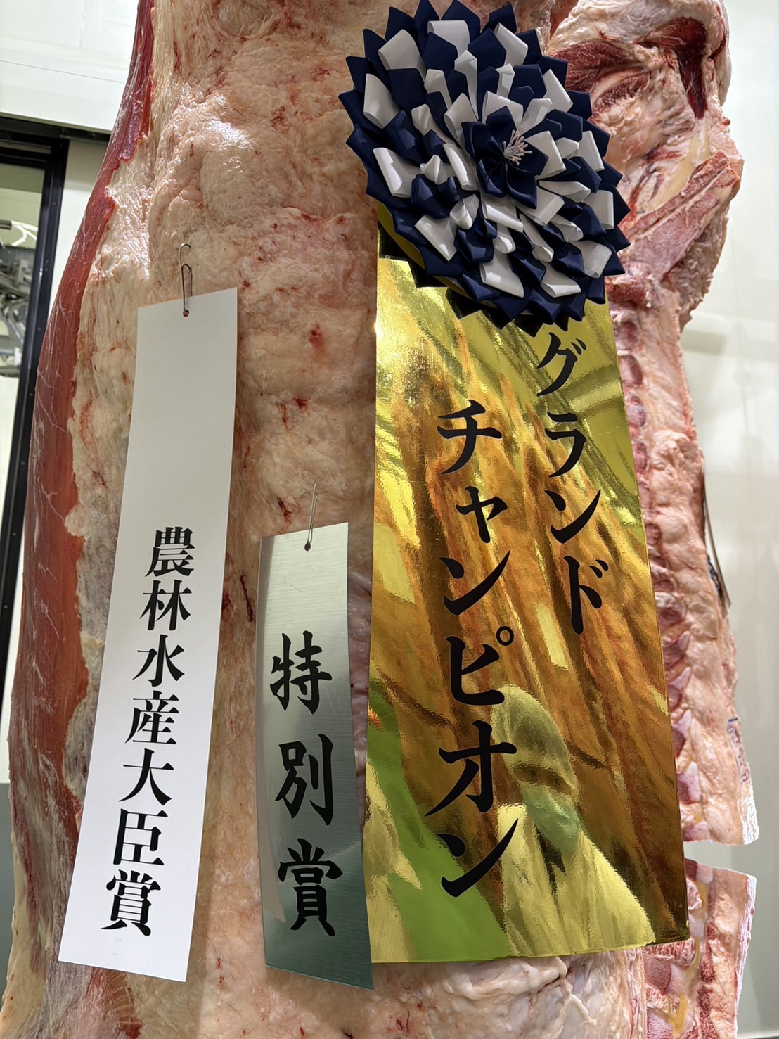 熊本県枝肉共進会!!