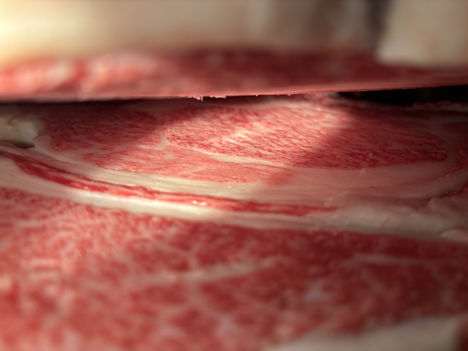 本日の枝肉(2025.11.19)