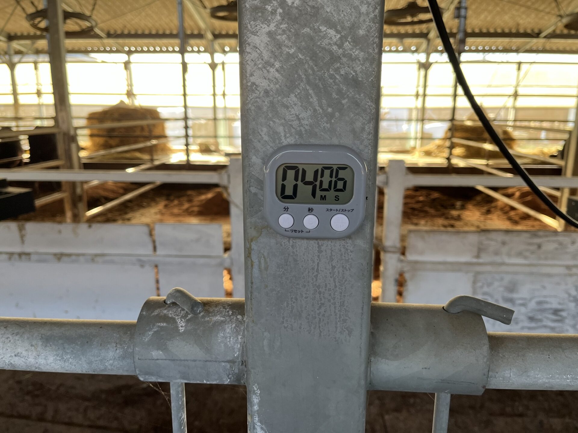 新しい試み ‼︎