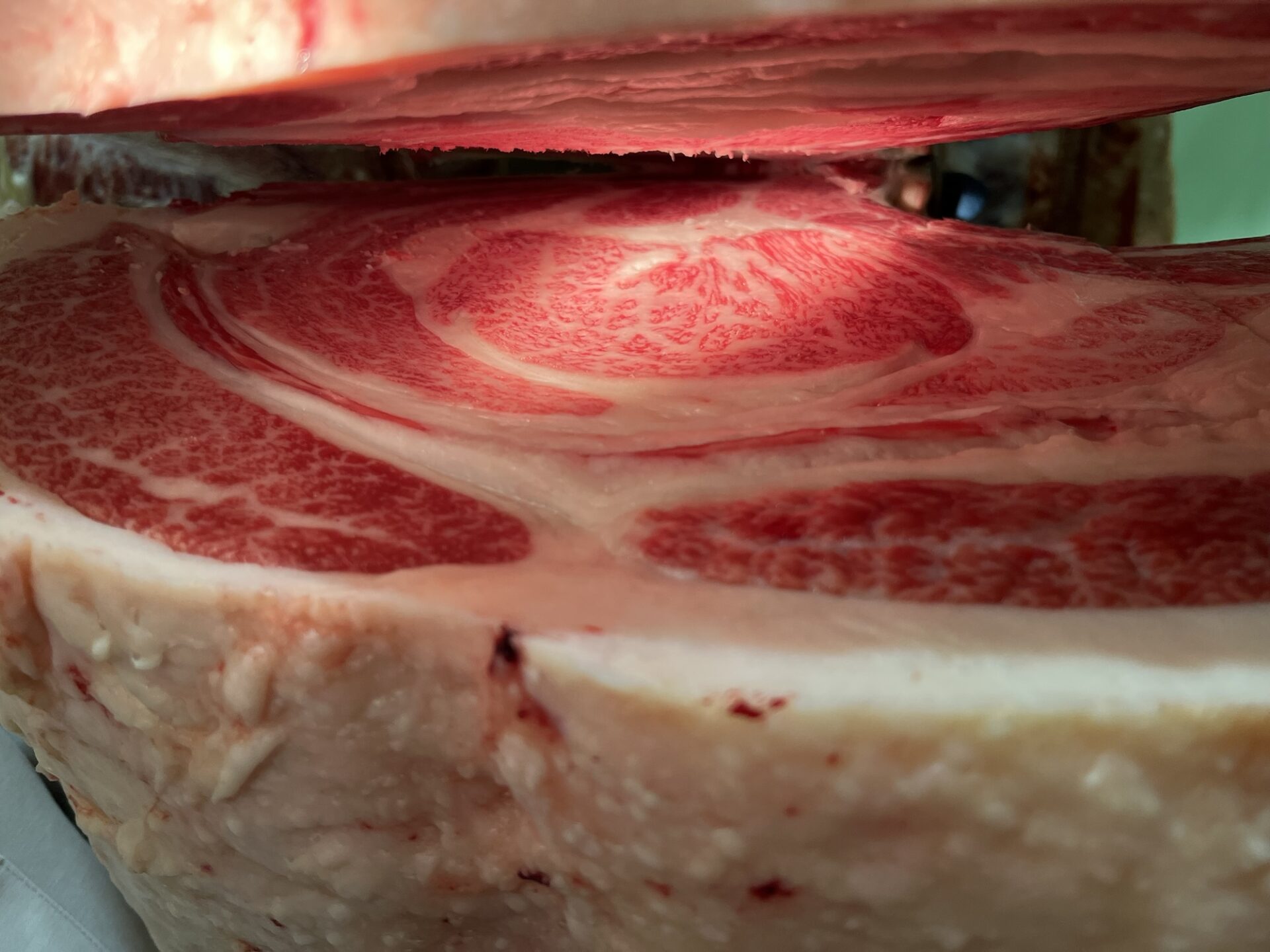 本日の枝肉(2026.1.30)