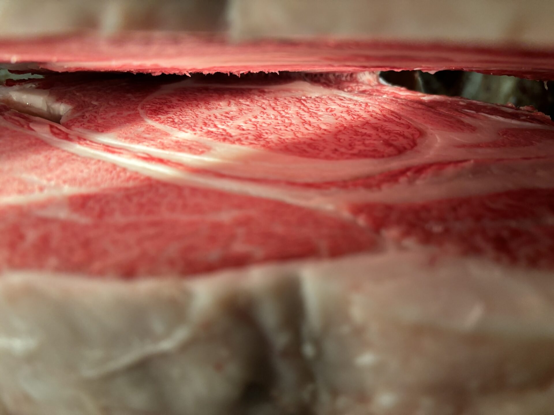 本日の枝肉（2026.2.6）