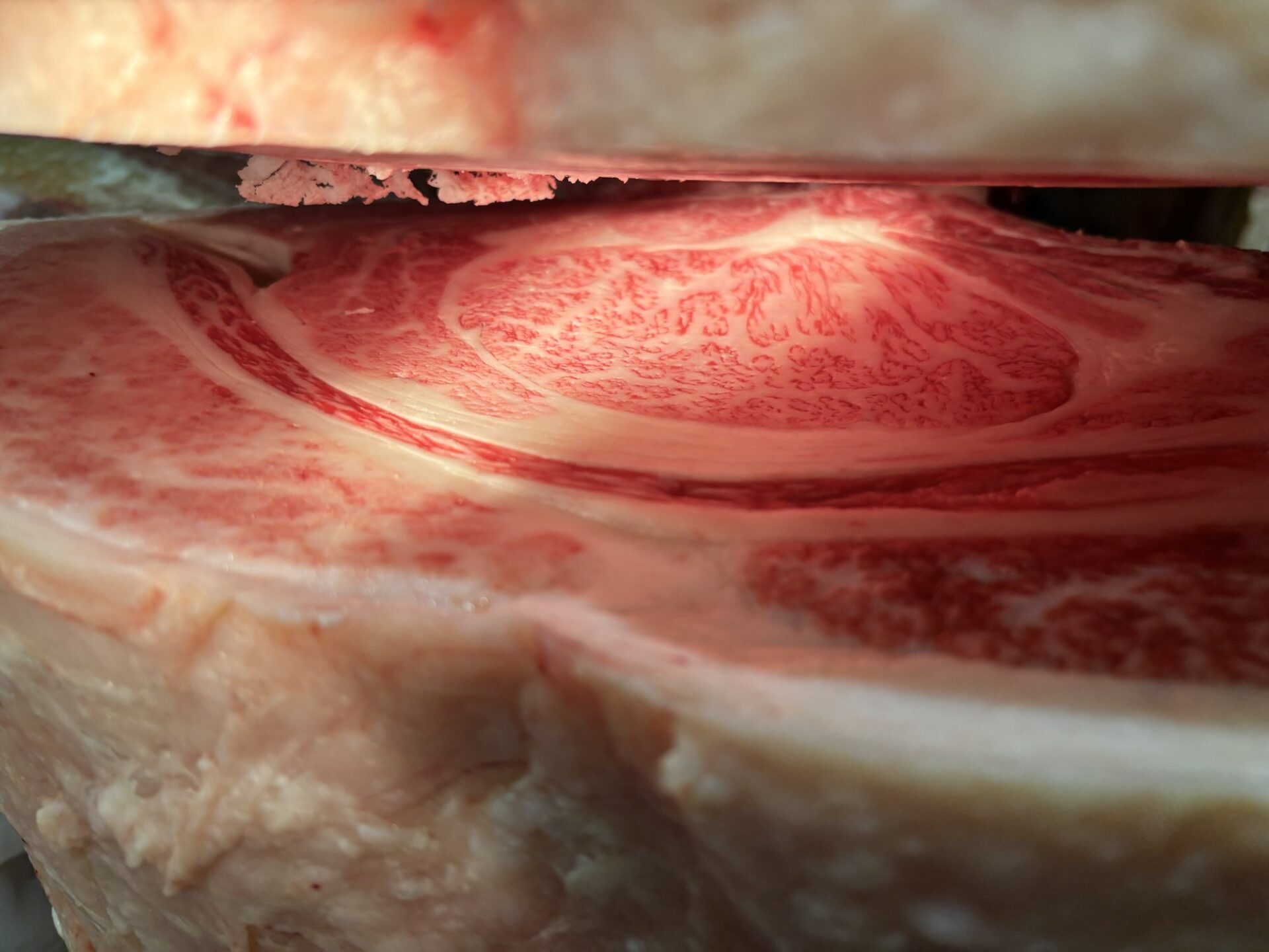 本日の枝肉(2026.2.13)