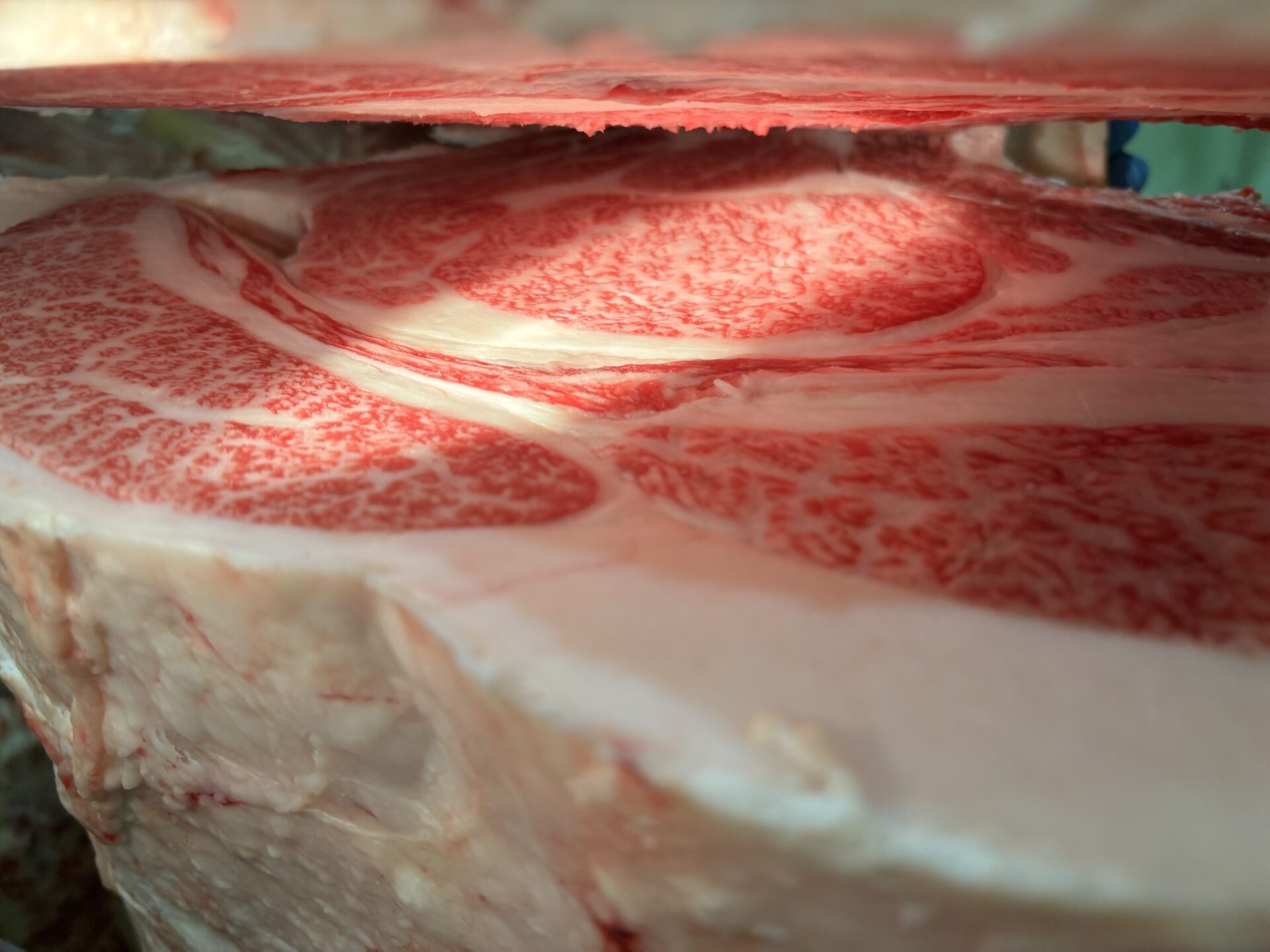 本日の枝肉(2026.2.27)