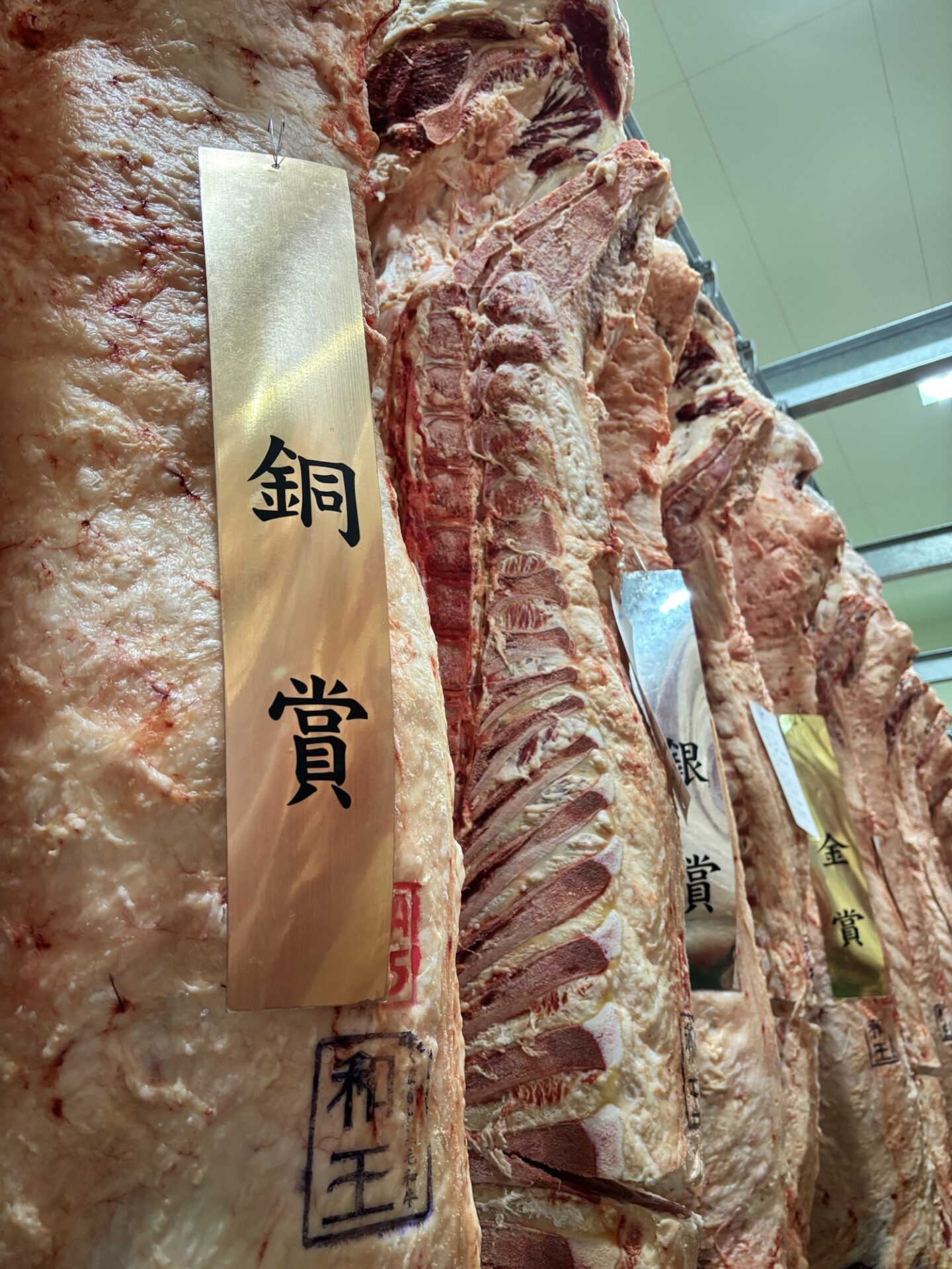 JA菊池黒毛研究会枝肉研修会！