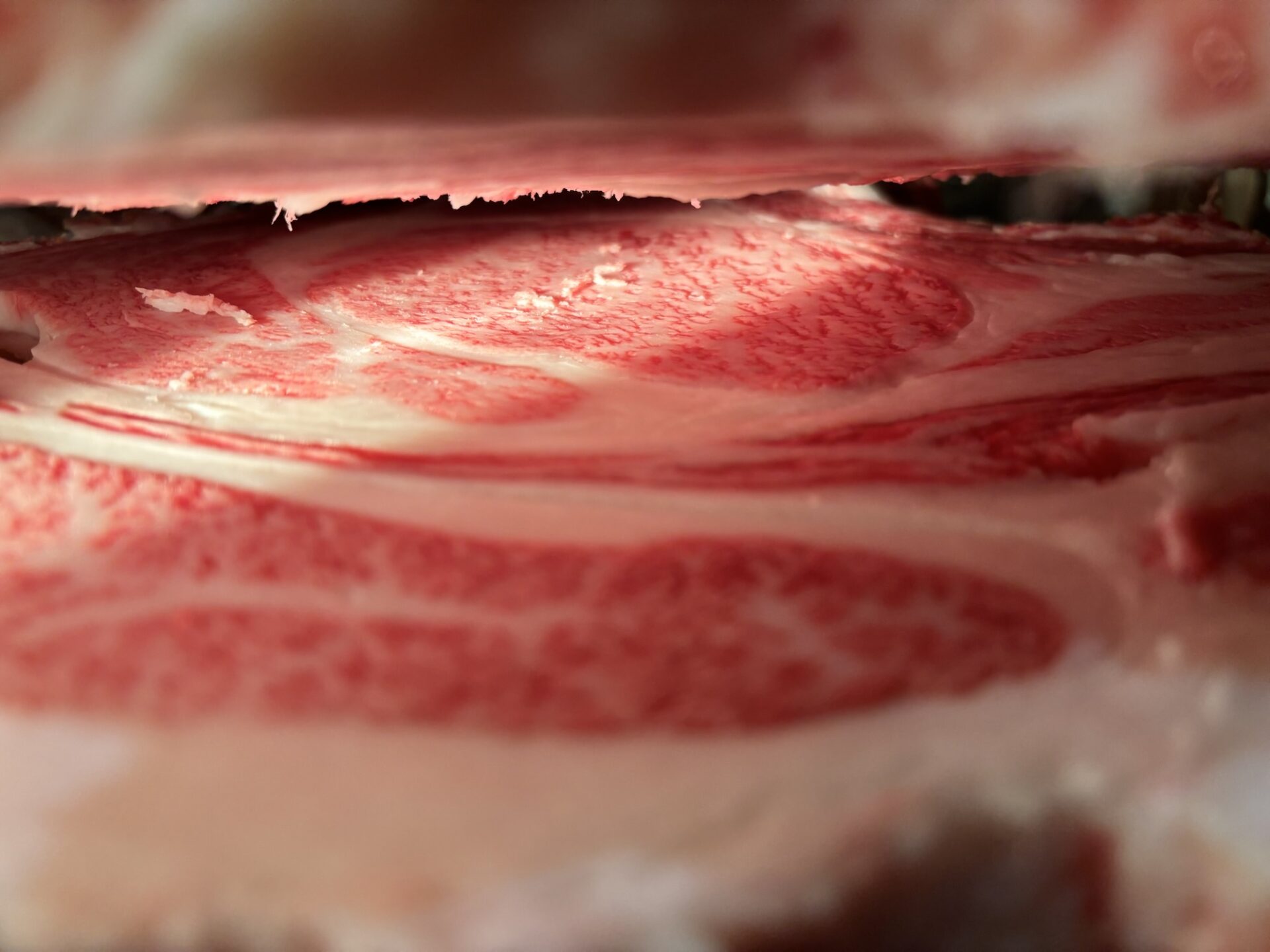 本日の枝肉（2026.3.18）