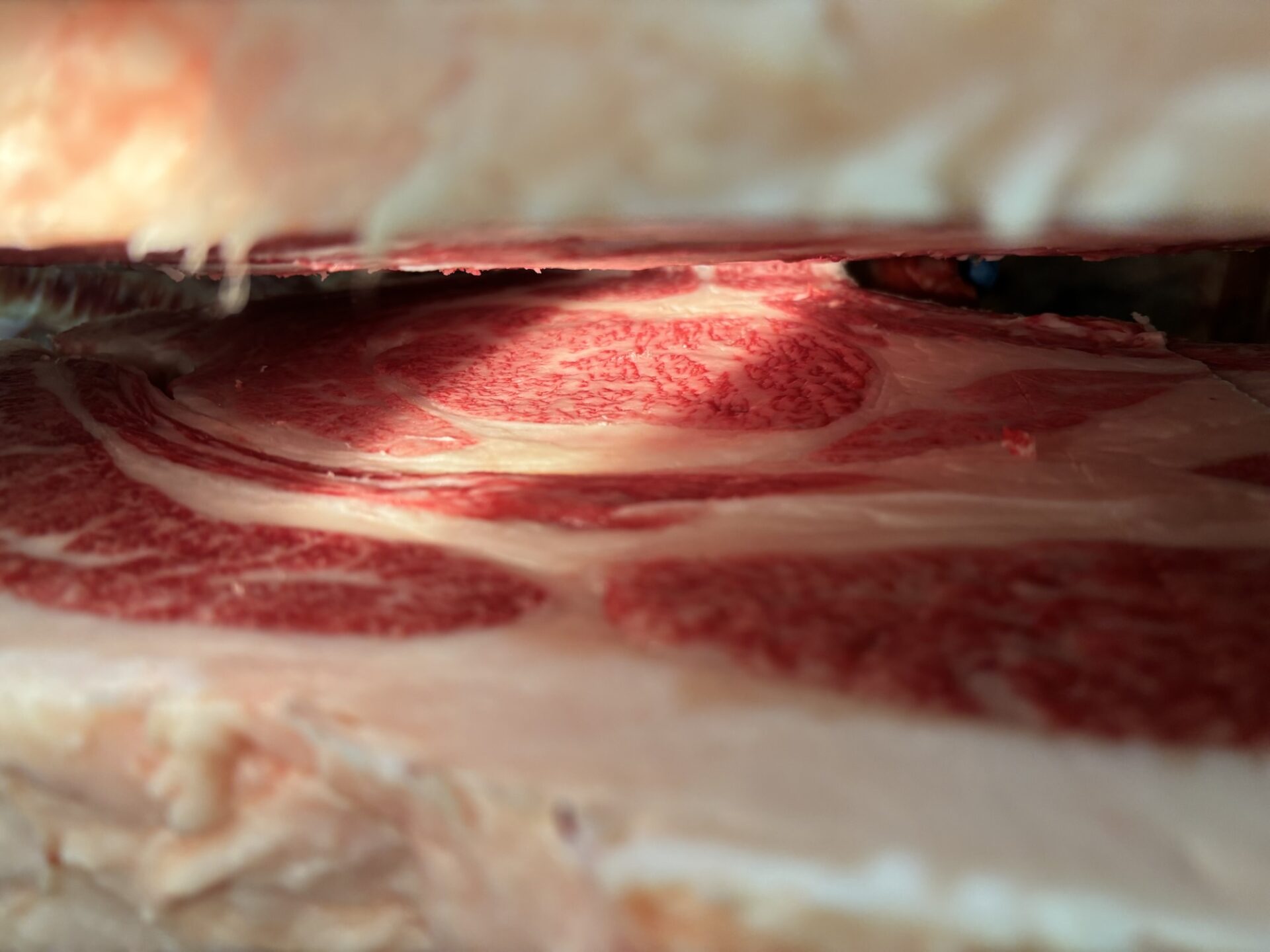 本日の枝肉（2026.3.25）