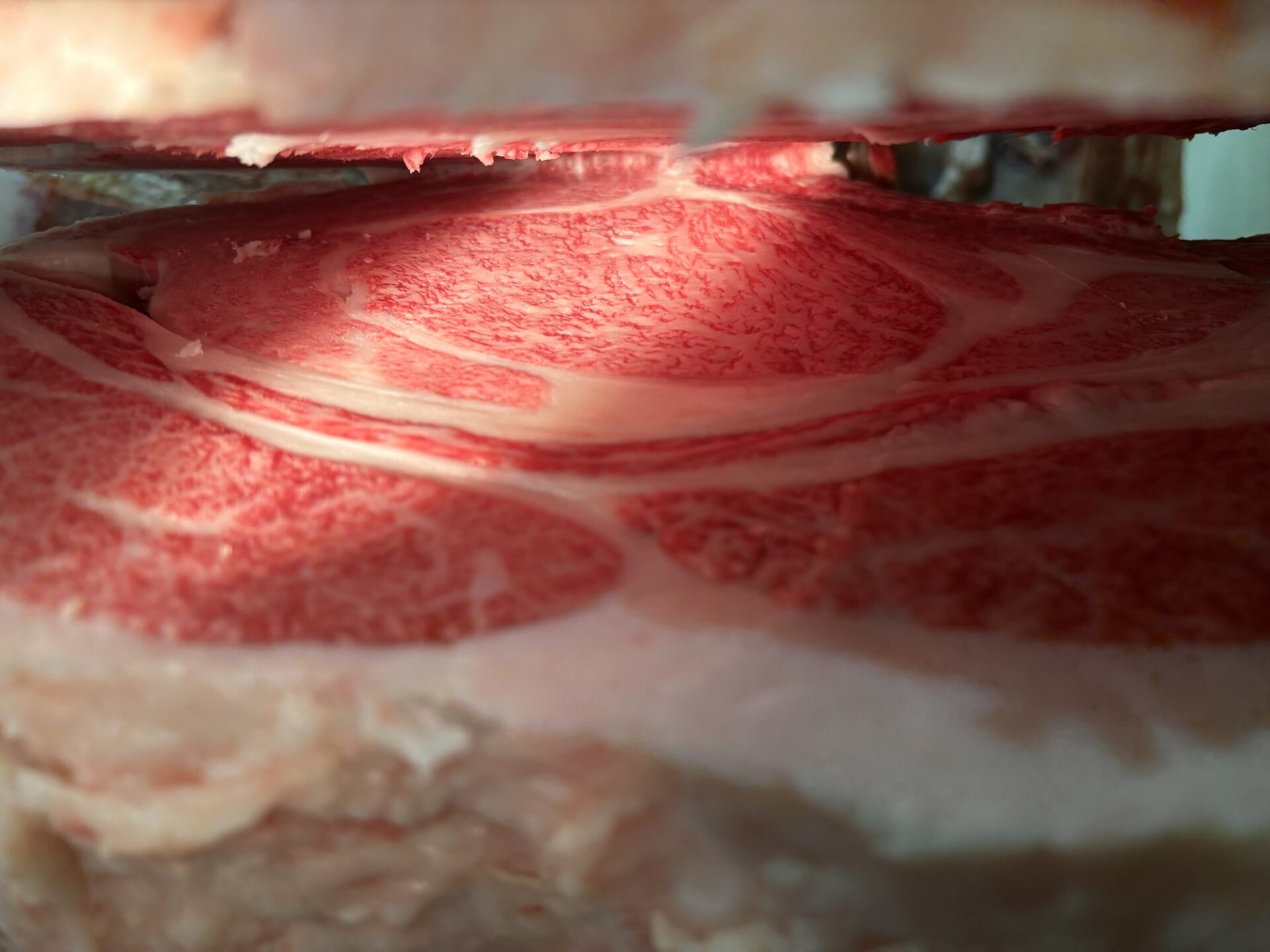 本日の枝肉(2026.4.3)