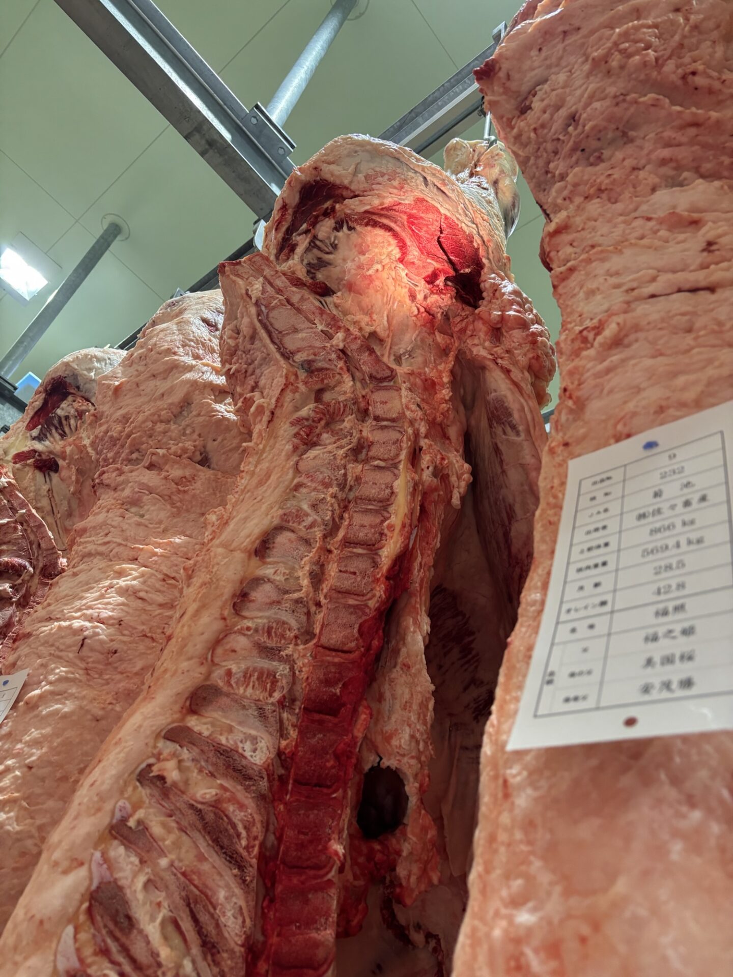 黒毛和牛勉強会!