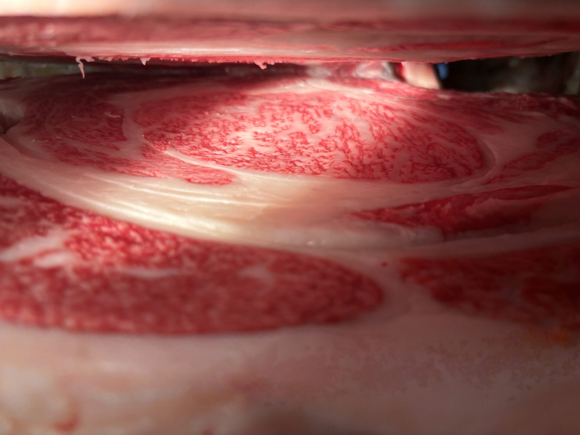 本日の枝肉（2026.4.17）