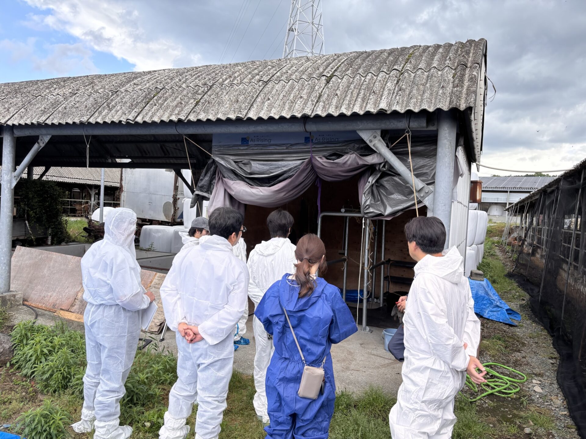 大分からの視察がありました