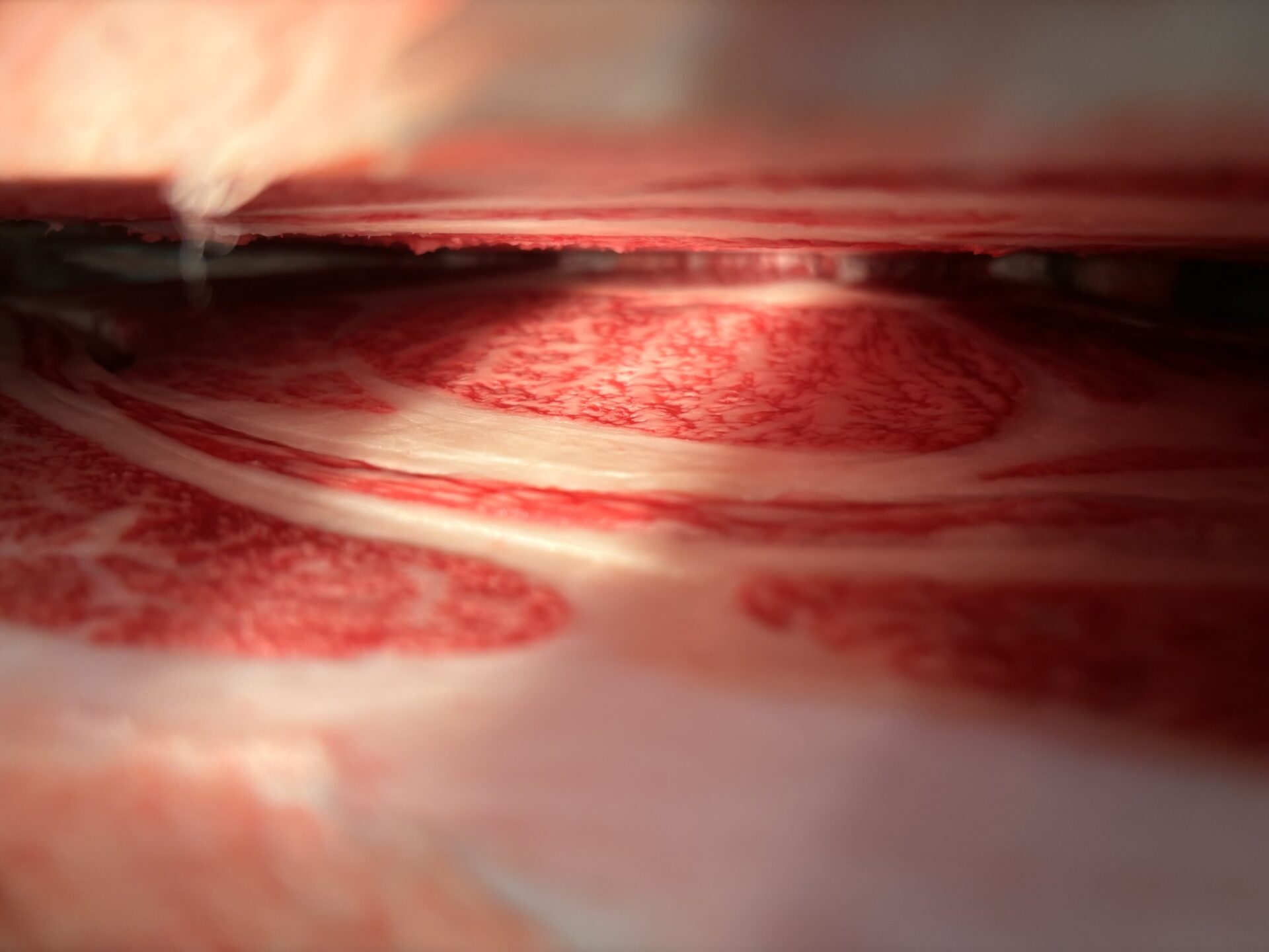 本日の枝肉（2026.4.22）