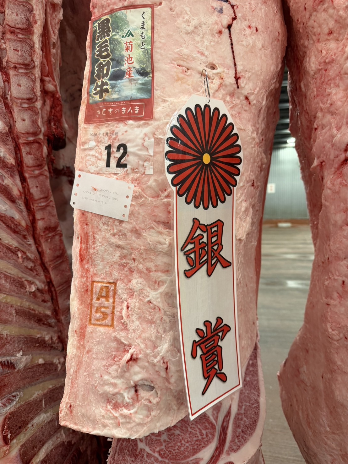 JA菊池肉牛枝肉研修会 in 南港！