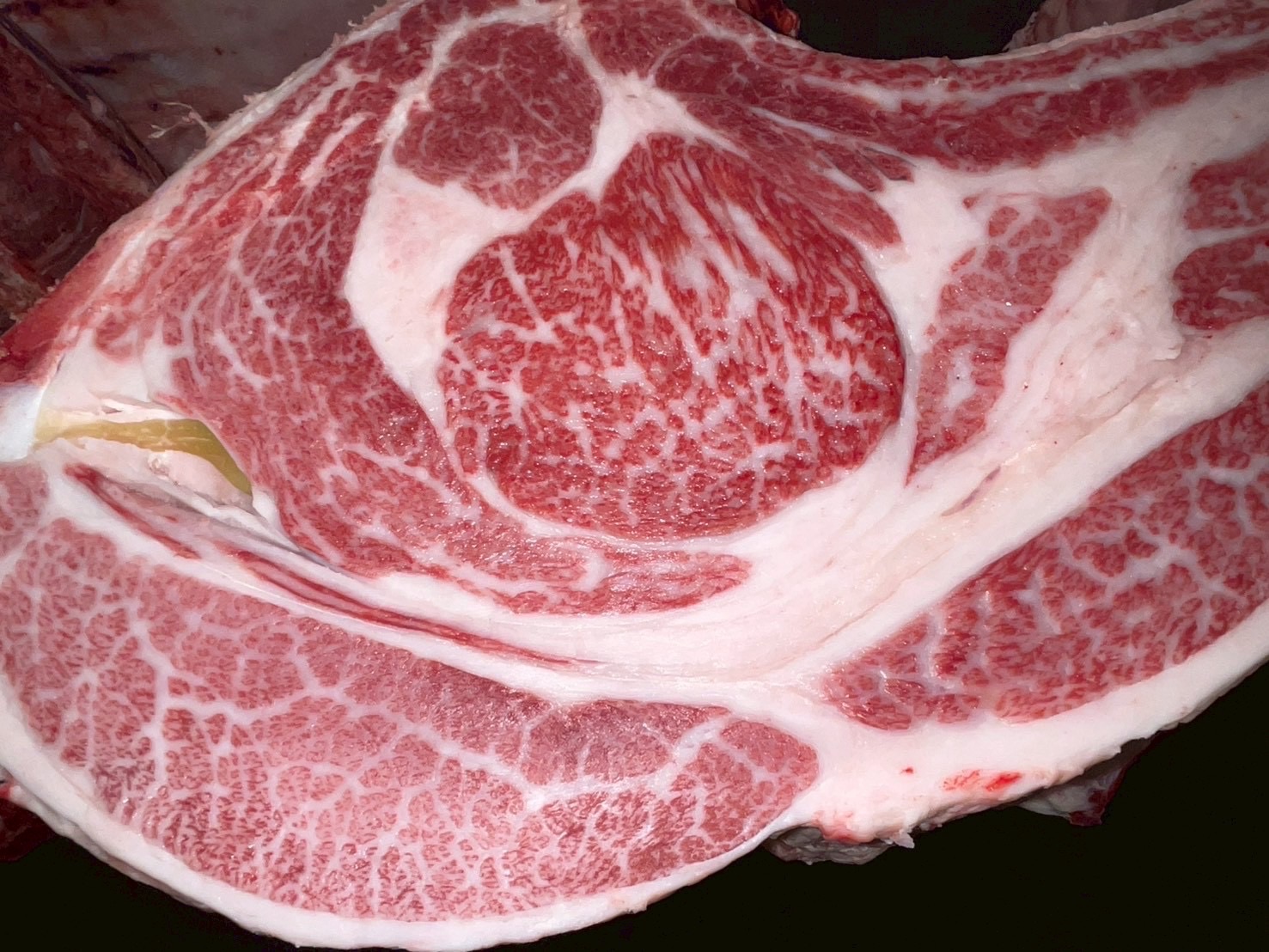 本日の枝肉（2026.6.23）at南港