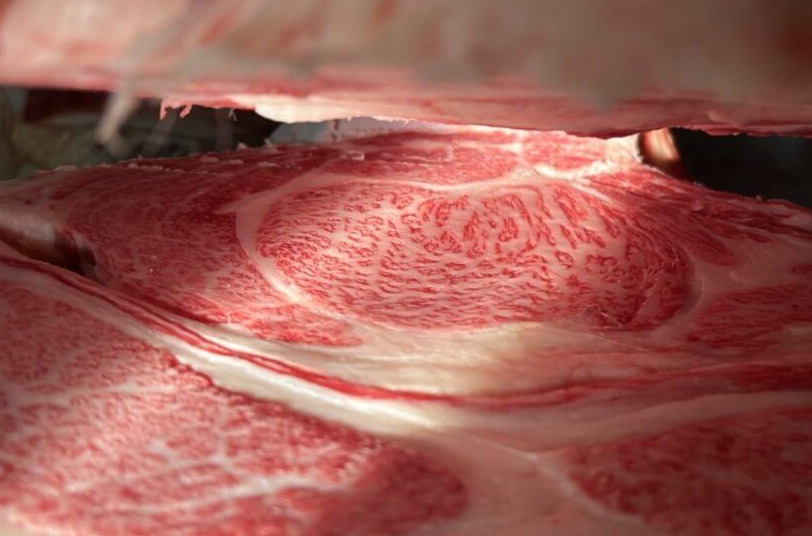 本日の枝肉（2026.7.24）