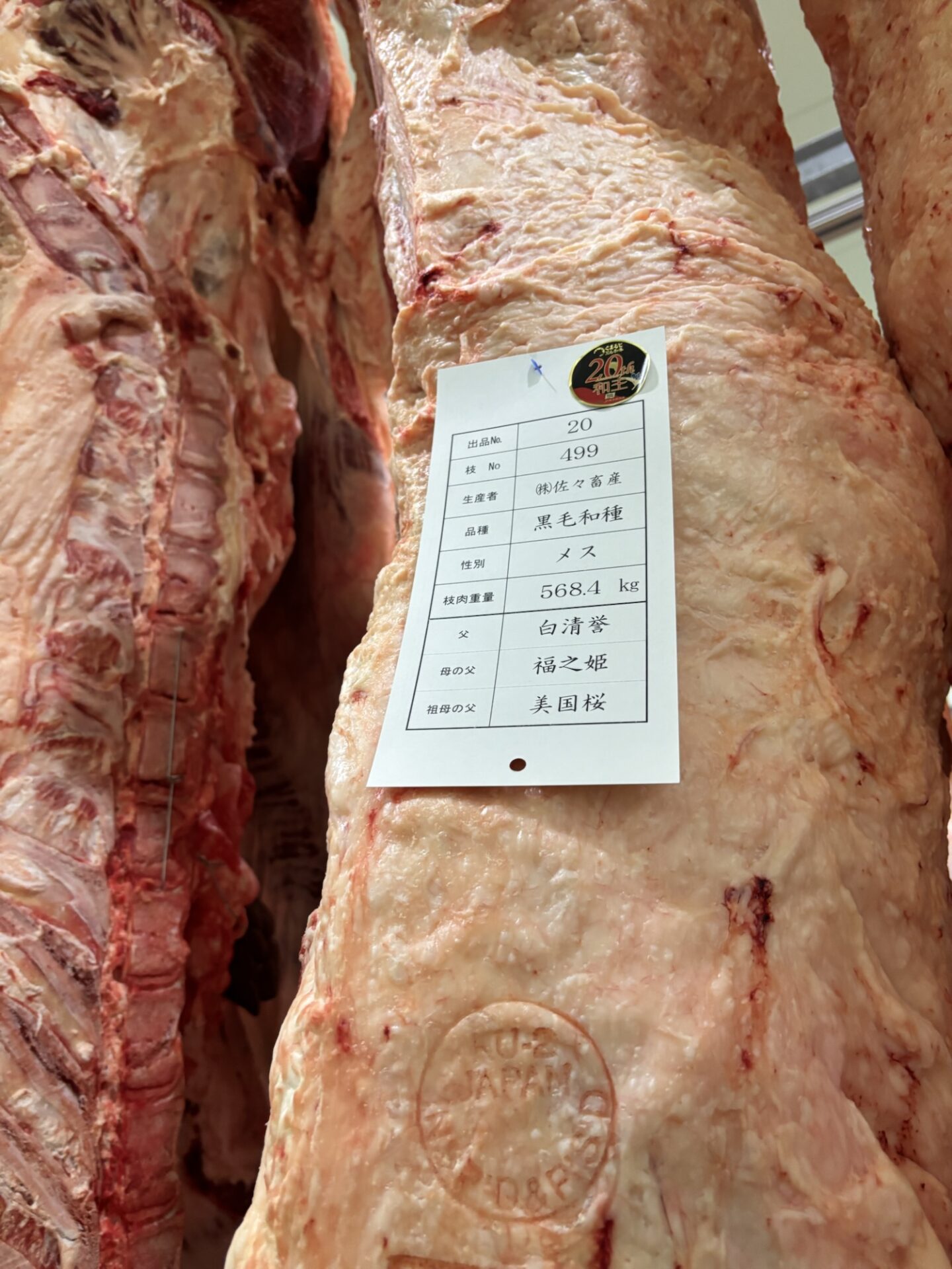 JA菊池肉牛枝肉共励会！